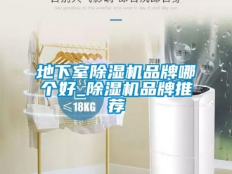 企業新聞地下室除濕機品牌哪個好_除濕機品牌推薦
