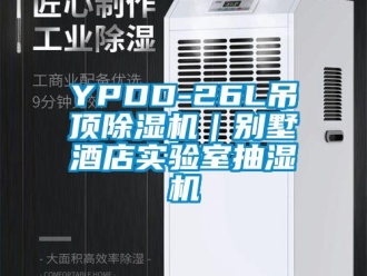 企業新聞YPDD-26L吊頂除濕機｜別墅酒店實驗室抽濕機