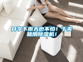 行業新聞開學下雨天也不怕！干爽就用除濕機！