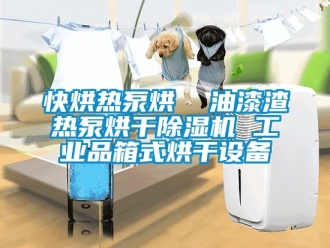 常見問題快烘熱泵烘  油漆渣熱泵烘干除濕機 工業品箱式烘干設備