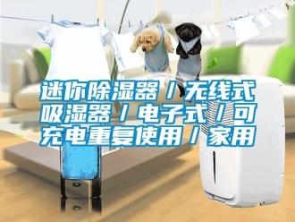 行業新聞迷你除濕器／無線式吸濕器／電子式／可充電重復使用／家用