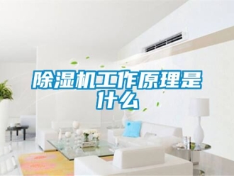 行業新聞除濕機工作原理是什么