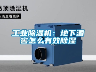 常見問題工業除濕機：地下酒窖怎么有效除濕