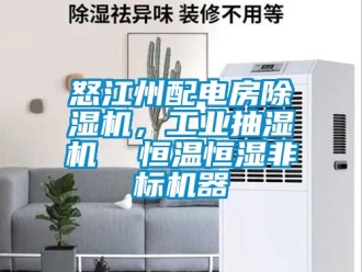 常見問題怒江州配電房除濕機，工業抽濕機  恒溫恒濕非標機器