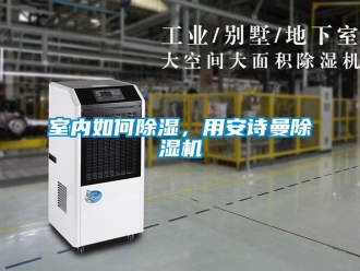 企業新聞室內如何除濕，用安詩曼除濕機