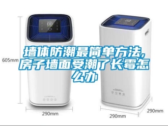 常見問題墻體防潮最簡單方法,房子墻面受潮了長霉怎么辦