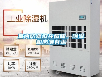 知識百科室內防潮迫在眉睫，除濕機防潮有術