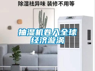 企業新聞抽濕機卷入全球經濟漩渦