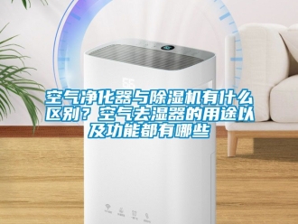 行業新聞空氣凈化器與除濕機有什么區別？空氣去濕器的用途以及功能都有哪些