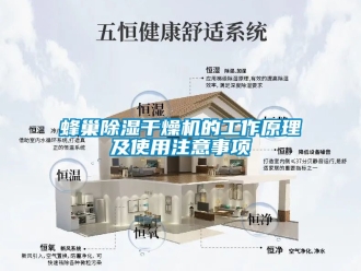 行業新聞蜂巢除濕干燥機的工作原理及使用注意事項