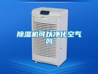 行業新聞除濕機可以凈化空氣嗎