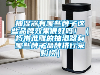 企業新聞抽濕器有哪些牌子這些品牌效果很好嗎?。ㄐ嗄倦y雕的抽濕器有哪些牌子品牌排行采購榜）