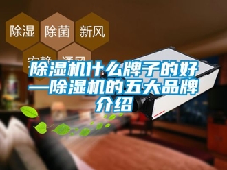 企業新聞除濕機什么牌子的好—除濕機的五大品牌介紹