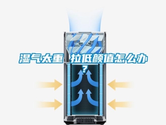 常見問題濕氣太重 拉低顏值怎么辦？