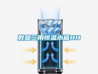 知識百科數顯三用恒溫水箱HH
