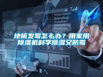 常見問題地板發霉怎么辦？用家用除濕機科學除濕又防霉
