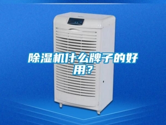 行業新聞除濕機什么牌子的好用？