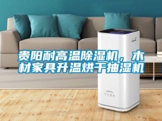 行業新聞貴陽耐高溫除濕機，木材家具升溫烘干抽濕機