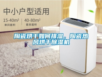 行業新聞陶瓷烘干如何排濕，陶瓷熱風烘干除濕機