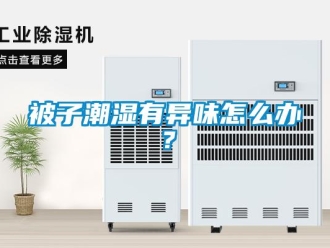 常見問題被子潮濕有異味怎么辦？