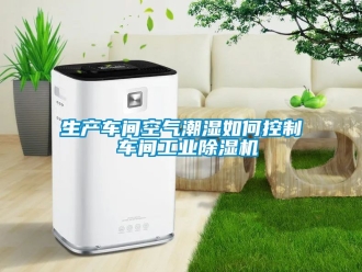常見問題生產車間空氣潮濕如何控制 車間工業除濕機