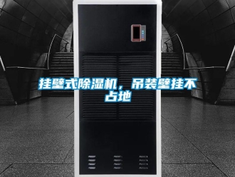 企業新聞掛壁式除濕機，吊裝壁掛不占地
