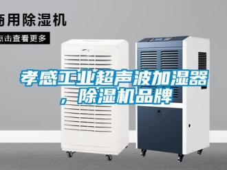 常見問題孝感工業超聲波加濕器，除濕機品牌