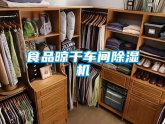 知識百科食品晾干車間除濕機
