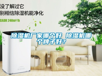 企業新聞除濕機廠家哪個好 除濕機哪個牌子好？