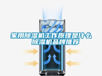 企業新聞家用除濕機工作原理是什么  除濕機品牌推薦