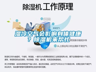 知識百科濕冷空氣會影響身體健康？除濕機來幫忙