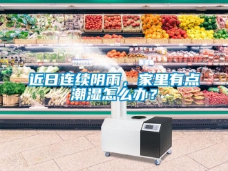常見問題近日連續陰雨，家里有點潮濕怎么辦？
