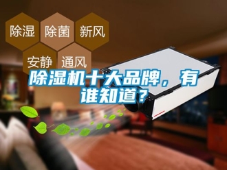 企業新聞除濕機十大品牌，有誰知道？