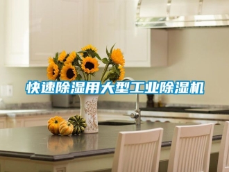 常見問題快速除濕用大型工業除濕機