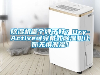 行業新聞除濕機哪個牌子好？Dry-Active可穿戴式除濕機讓你無懼潮濕！
