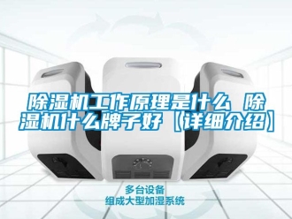 行業新聞除濕機工作原理是什么 除濕機什么牌子好【詳細介紹】