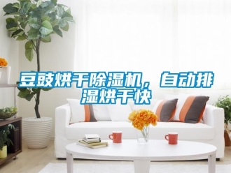 行業新聞豆豉烘干除濕機，自動排濕烘干快