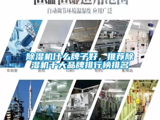 企業新聞除濕機什么牌子好，推薦除濕機十大品牌排行榜排名