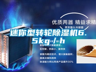 行業新聞迷你型轉輪除濕機6.5kg／h