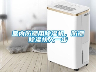 知識百科室內防潮用除濕機，防潮除濕快人一步