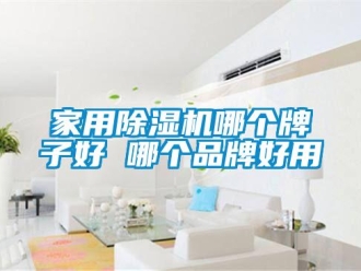 企業新聞家用除濕機哪個牌子好 哪個品牌好用
