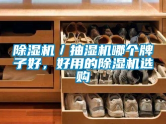 企業新聞除濕機／抽濕機哪個牌子好，好用的除濕機選購