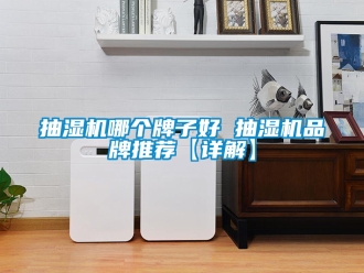 企業新聞抽濕機哪個牌子好 抽濕機品牌推薦【詳解】