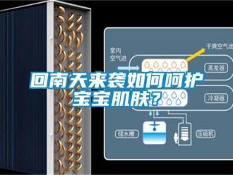常見問題回南天來襲如何呵護寶寶肌膚？