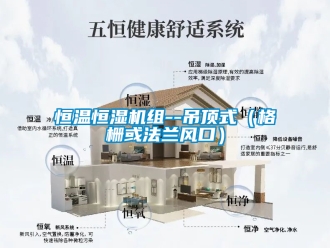 知識百科恒溫恒濕機組--吊頂式（格柵或法蘭風口）