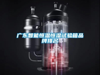 知識百科廣東智能恒溫恒濕試驗箱品牌排名