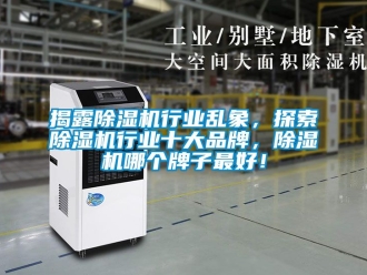 企業新聞揭露除濕機行業亂象，探索除濕機行業十大品牌，除濕機哪個牌子最好！