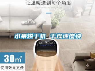 知識百科水果烘干機 干燥速度快
