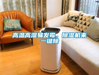 行業新聞高溫高濕易發霉，除濕機來一鍵除