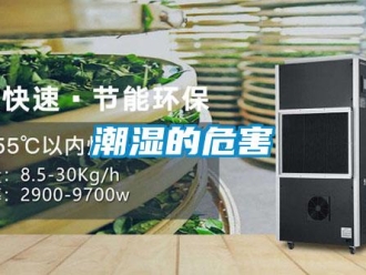 企業新聞潮濕的危害